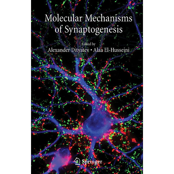 Molecular Mechanisms of Synaptogenesis