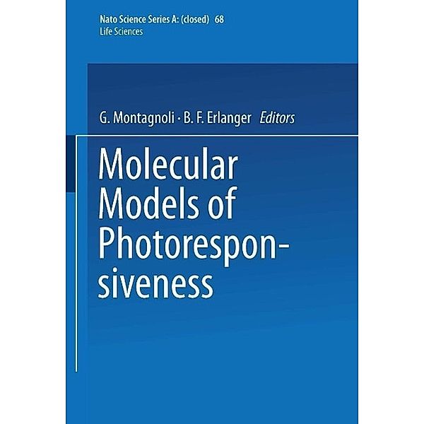 Molecular Models of Photoresponsiveness / NATO Science Series A: Bd.68