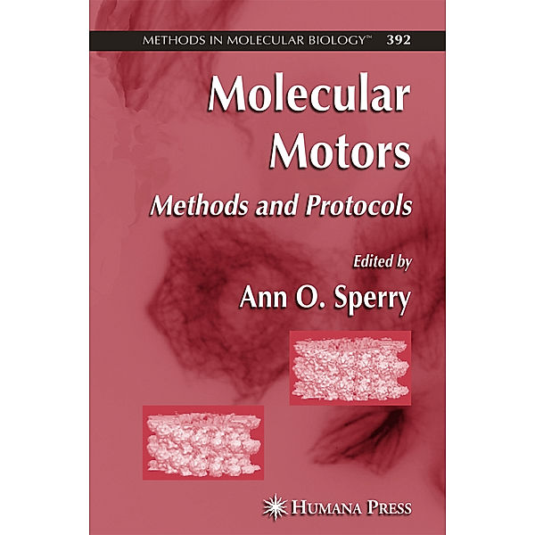 Molecular Motors