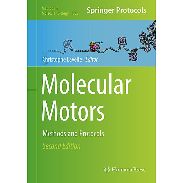 Molecular Motors