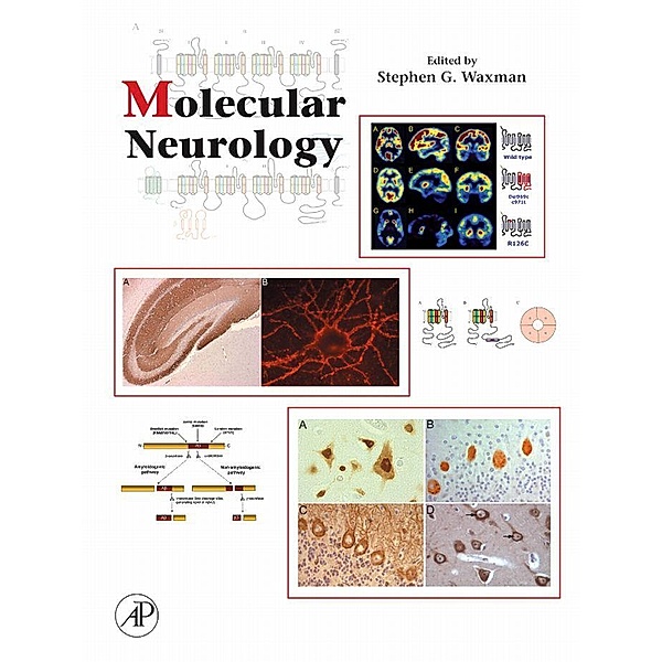 Molecular Neurology, Stephen Waxman