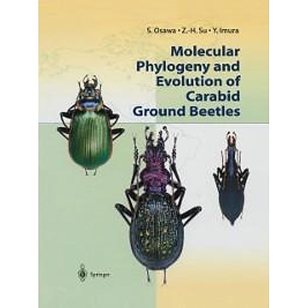 Molecular Phylogeny and Evolution of Carabid Ground Beetles, S. Osawa, Z. -H. Su, Y. Imura