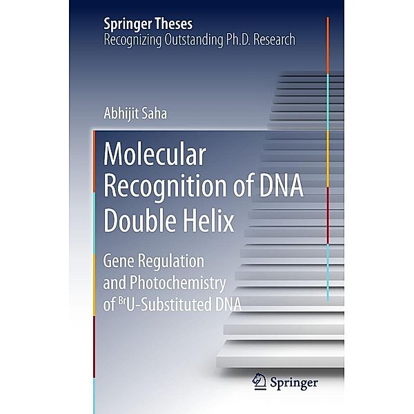 Molecular Recognition of DNA Double Helix / Springer Theses, Abhijit Saha