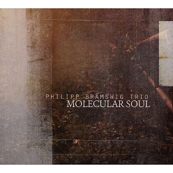 Molecular Soul, Philipp Braemswig Trio