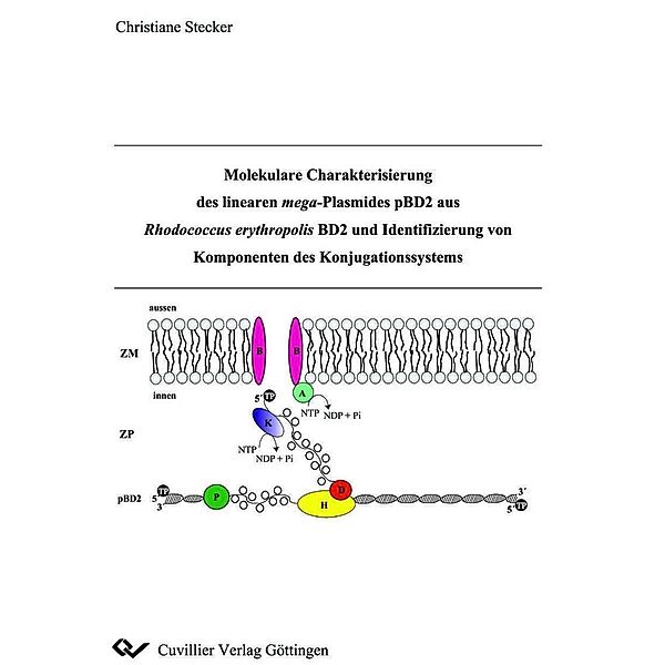 Molekulare Charakterisierung des linearen mega-Plasmides pBD2 aus Rhodococcus erythropolis BD2 und Identifizierung von Komponenten des Konjugationssystems