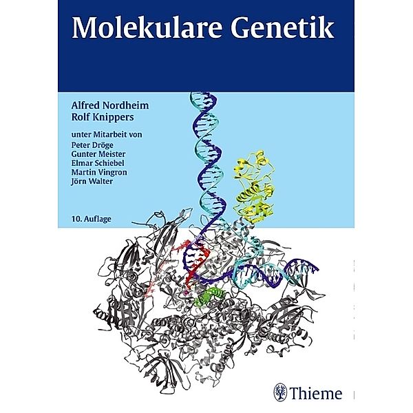 Molekulare Genetik, Alfred Nordheim, Rolf Knippers