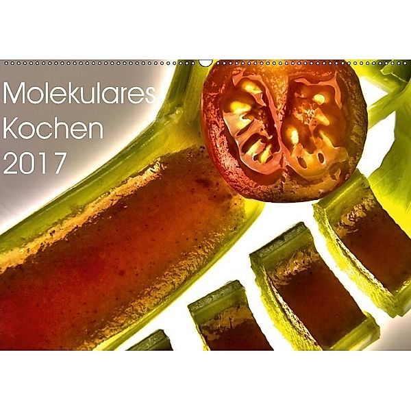 Molekulares Kochen 2017 (Wandkalender 2017 DIN A2 quer), Marc Heiligenstein