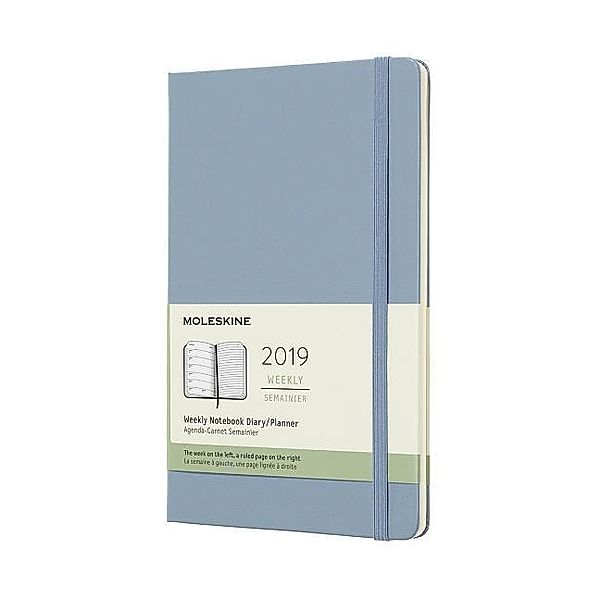 Moleskine 12 Monate Notizkalender 2019, Large/A5, Hard Cover, Aschblau