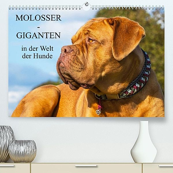 Molosser - Giganten in der Welt der Hunde (Premium, hochwertiger DIN A2 Wandkalender 2023, Kunstdruck in Hochglanz), Sigrid Starick