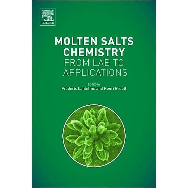 Molten Salts Chemistry, Frederic Lantelme, Henri (University of Pierre and Marie Curie, Paris, France) Groult