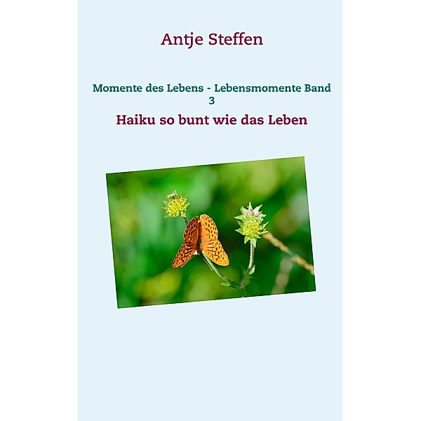 Momente des Lebens - Lebensmomente Band 3, Antje Steffen