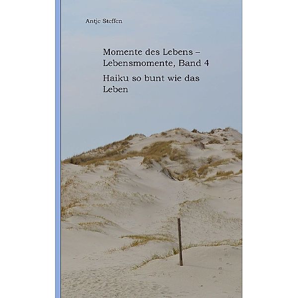 Momente des Lebens - Lebensmomente Band 4, Antje Steffen