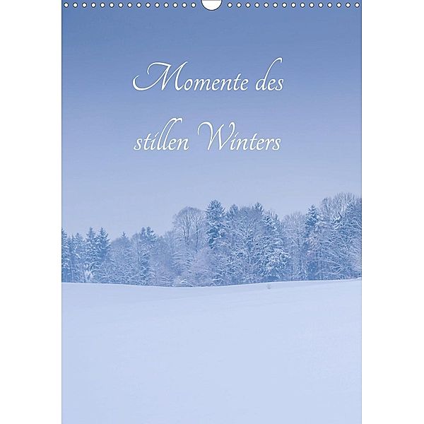 Momente des stillen Winters (Wandkalender 2021 DIN A3 hoch), Renate Wasinger