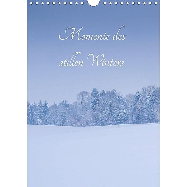Momente des stillen Winters (Wandkalender 2021 DIN A4 hoch), Renate Wasinger