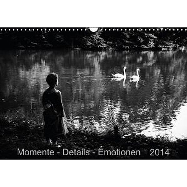 Momente-Details-Emotionen (Wandkalender 2014 DIN A3 quer), Fabienne Fotografie