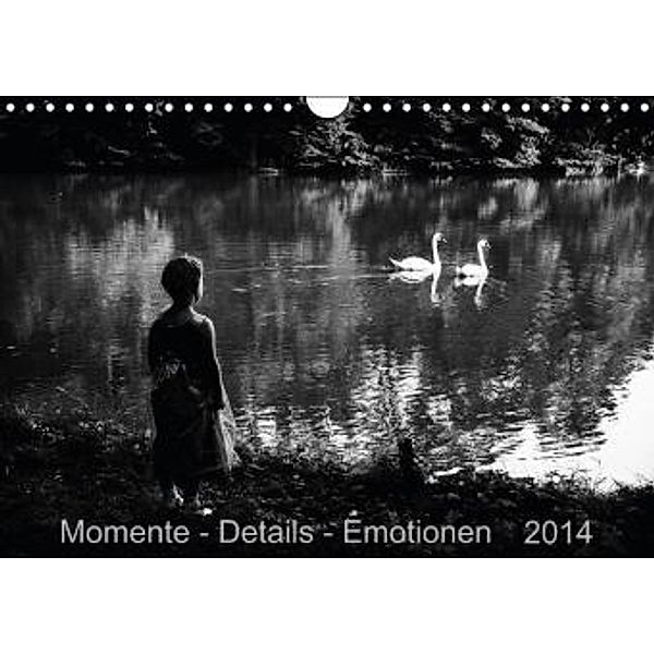 Momente-Details-Emotionen (Wandkalender 2014 DIN A4 quer), Fabienne Fotografie