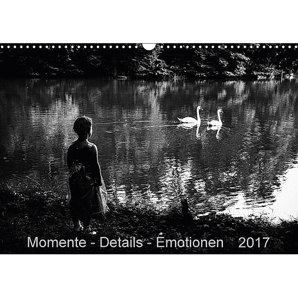 Momente-Details-Emotionen (Wandkalender 2017 DIN A3 quer), Fabienne Fotografie