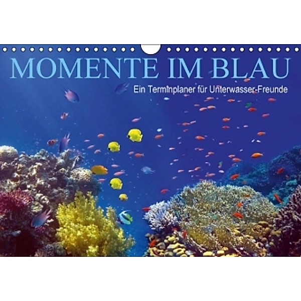 Momente im Blau - Ein Terminplaner für Unterwasser-Freunde (Wandkalender 2016 DIN A4 quer), Tina Melz