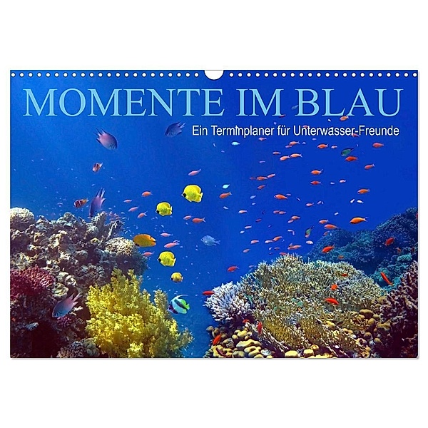 Momente im Blau - Ein Terminplaner für Unterwasser-Freunde (Wandkalender 2024 DIN A3 quer), CALVENDO Monatskalender, Tina Melz