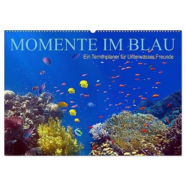 Momente im Blau - Ein Terminplaner für Unterwasser-Freunde (Wandkalender 2024 DIN A2 quer), CALVENDO Monatskalender, Tina Melz