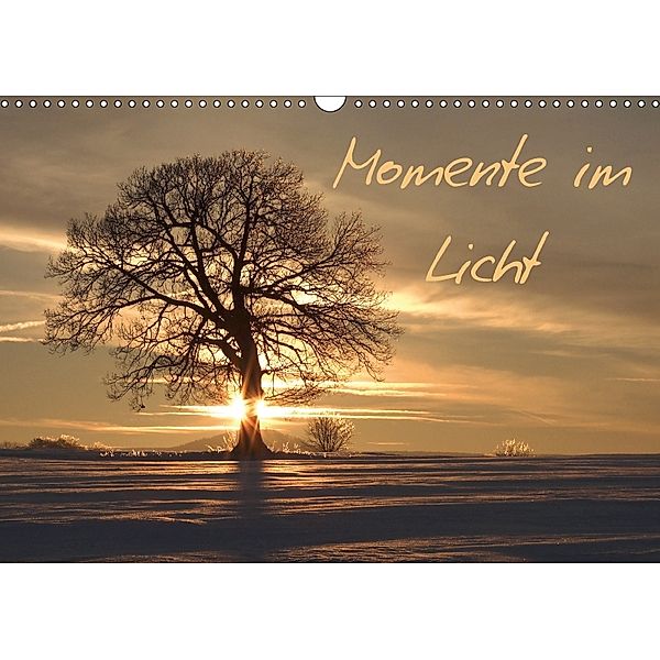 Momente im Licht (Wandkalender 2018 DIN A3 quer), Engelhardt