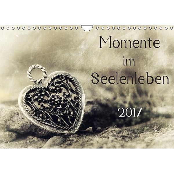 Momente im Seelenleben (Wandkalender 2017 DIN A4 quer), Hernegger Arnold