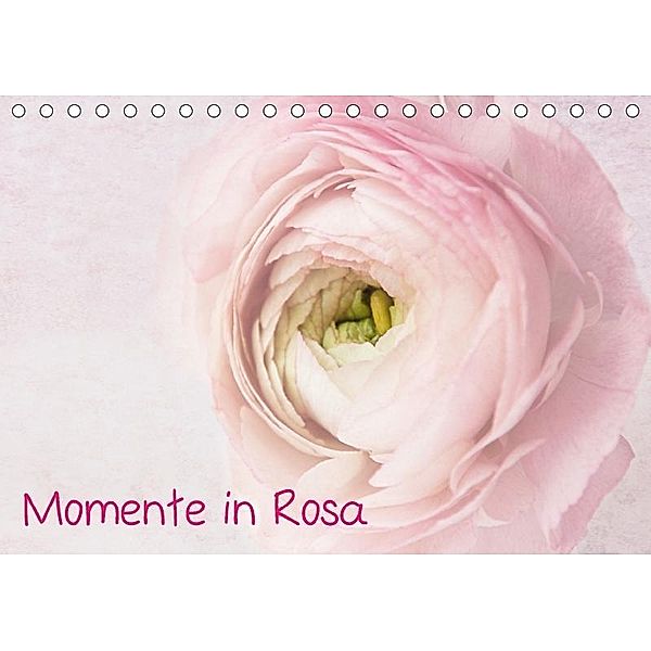 Momente in Rosa (Tischkalender 2017 DIN A5 quer), Claudia Möckel / Lucy L!u