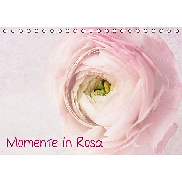 Momente in Rosa (Tischkalender 2018 DIN A5 quer), Claudia Möckel / Lucy L!u