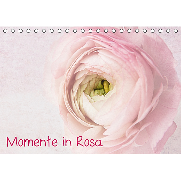 Momente in Rosa (Tischkalender 2019 DIN A5 quer), Claudia Möckel / Lucy L!u