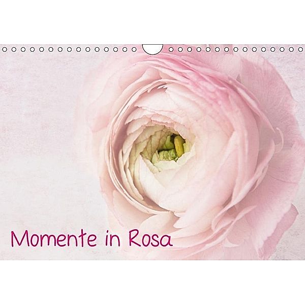 Momente in Rosa (Wandkalender 2017 DIN A4 quer), Claudia Möckel / Lucy L!u