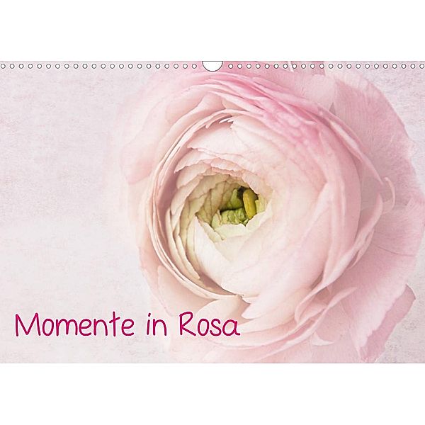 Momente in Rosa (Wandkalender 2023 DIN A3 quer), Claudia Möckel / Lucy L!u