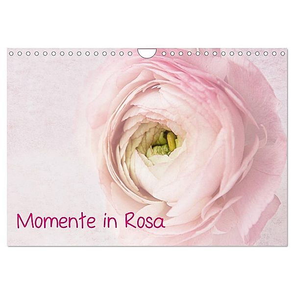 Momente in Rosa (Wandkalender 2025 DIN A4 quer), CALVENDO Monatskalender, Calvendo, Claudia Möckel / Lucy L!u