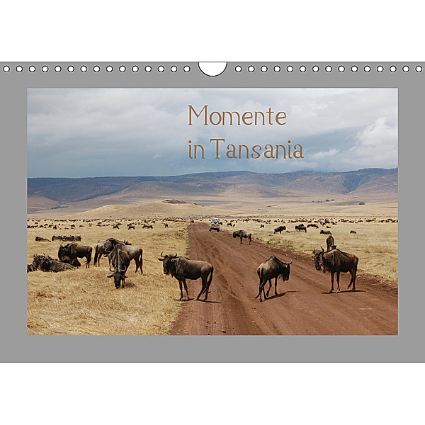 Momente in Tansania (Wandkalender 2019 DIN A4 quer), Dietmar Falk