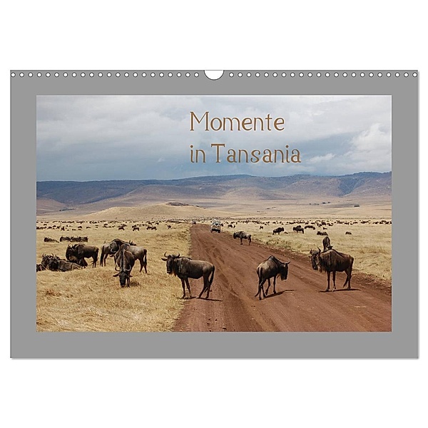 Momente in Tansania (Wandkalender 2024 DIN A3 quer), CALVENDO Monatskalender, Dietmar Falk