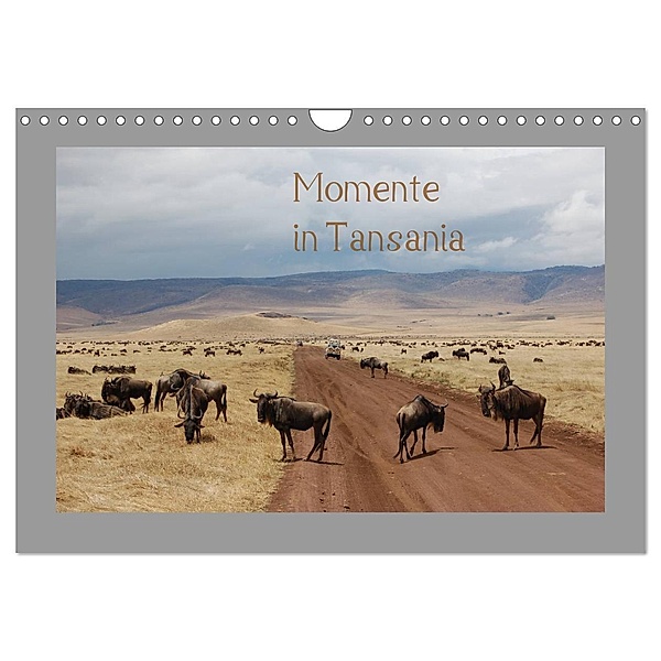 Momente in Tansania (Wandkalender 2024 DIN A4 quer), CALVENDO Monatskalender, Dietmar Falk