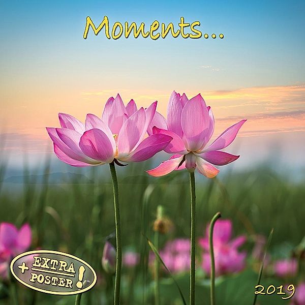 Moments 2019