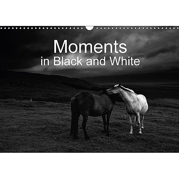 Moments in Black and White (Wall Calendar 2017 DIN A3 Landscape), Klaus Gerken