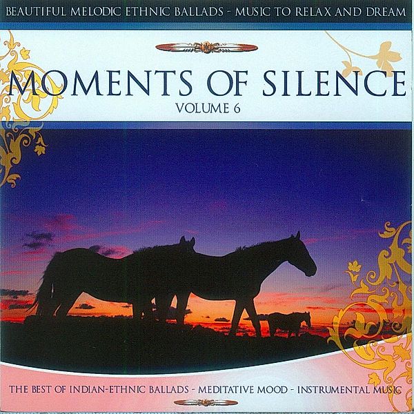 Moments Of Silence Vol.6, Diverse Interpreten