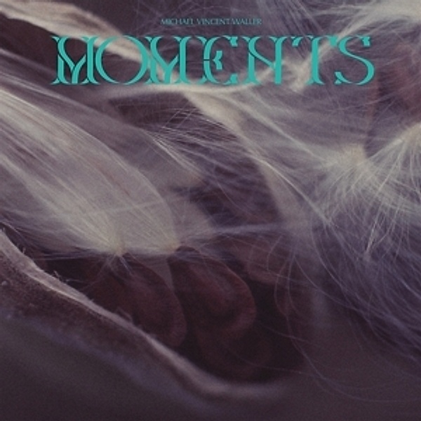Moments (Vinyl), Vincent Michael Waller
