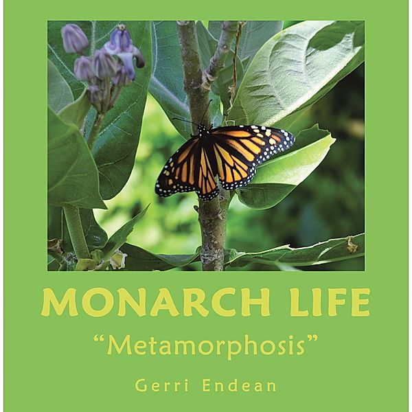 Monarch Life, Gerri Endean