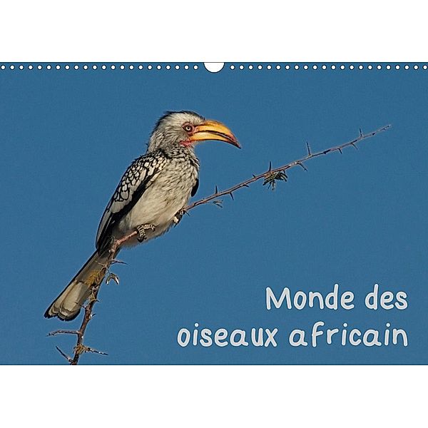 Monde des oiseaux africain (Calendrier mural 2021 DIN A3 horizontal), Gerald Wolf