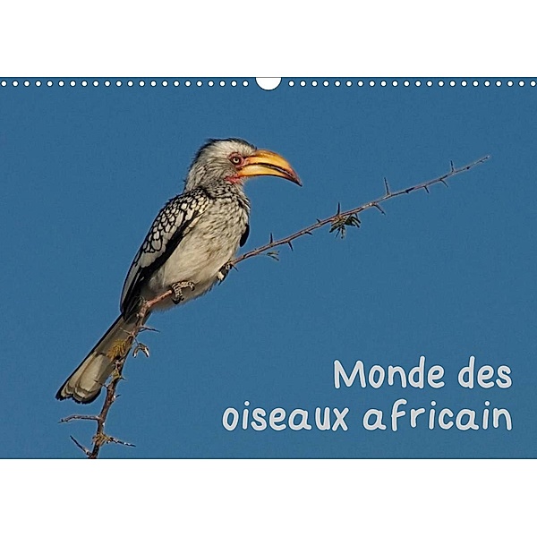 Monde des oiseaux africain (Calendrier mural 2023 DIN A3 horizontal), Gerald Wolf