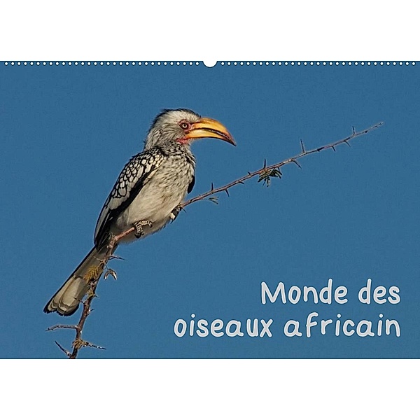 Monde des oiseaux africain (Calendrier mural 2023 DIN A2 horizontal), Gerald Wolf