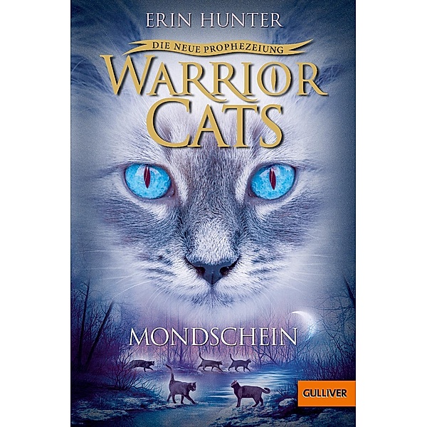 Mondschein / Warrior Cats Staffel 2 Bd.2, Erin Hunter