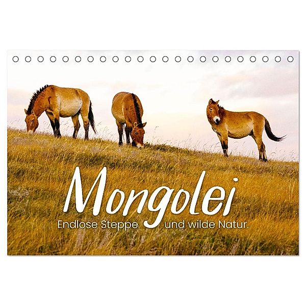 Mongolei - Endlose Steppe und wilde Natur. (Tischkalender 2024 DIN A5 quer), CALVENDO Monatskalender, Happy Monkey