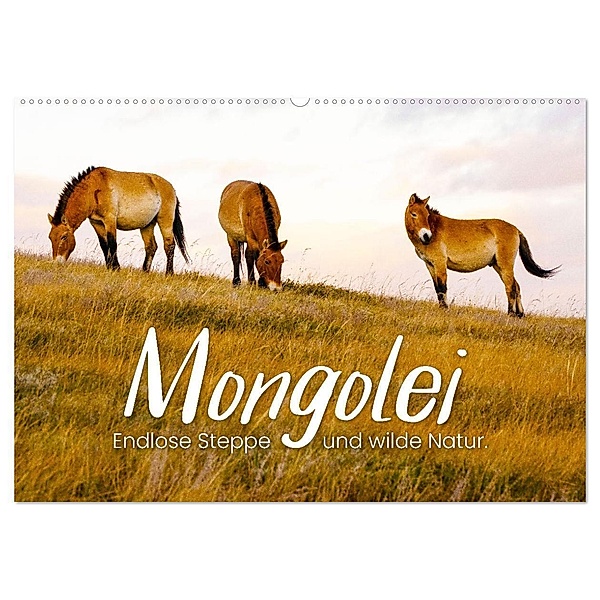 Mongolei - Endlose Steppe und wilde Natur. (Wandkalender 2024 DIN A2 quer), CALVENDO Monatskalender, Happy Monkey