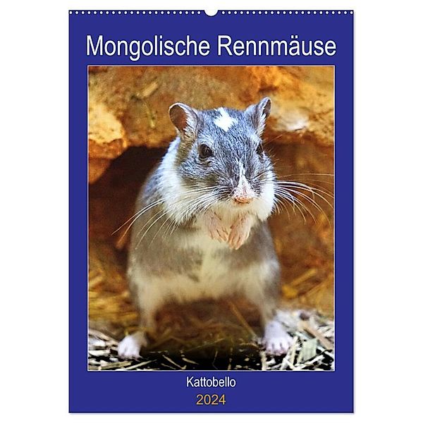 Mongolische Rennmäuse (Wandkalender 2024 DIN A2 hoch), CALVENDO Monatskalender, Kattobello