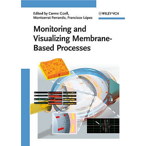 Monitoring and Visualizing Membrane-Based Processes