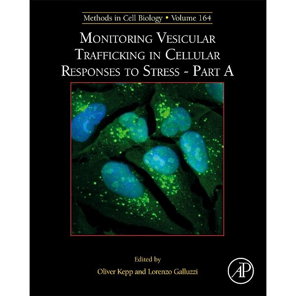 Monitoring Vesicular Trafficking in Cellular Responses to Stress