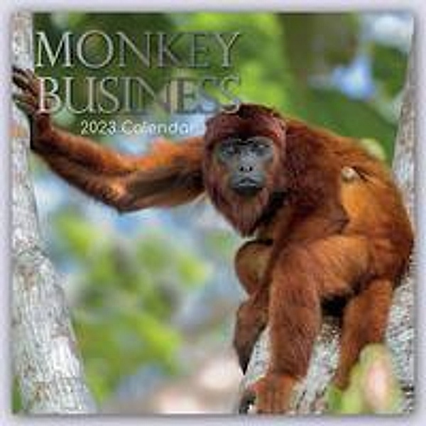 Monkey Business 2023 - 16-Monatskalender, The Gifted Stationery Co. Ltd